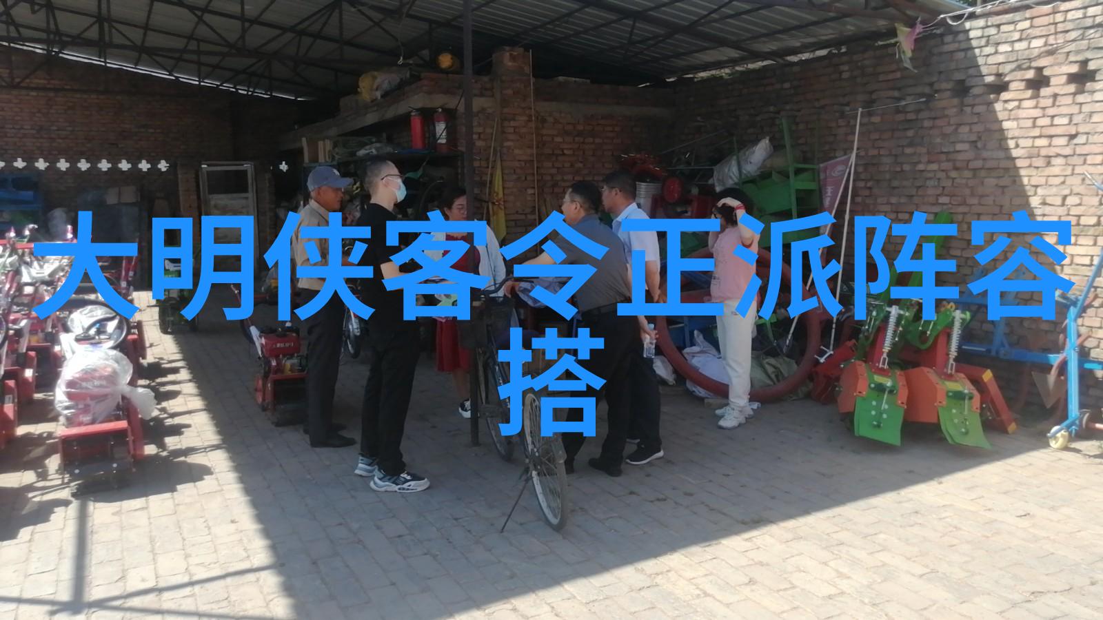 太极拳24式慢动作详解探索内外相融的武术之美