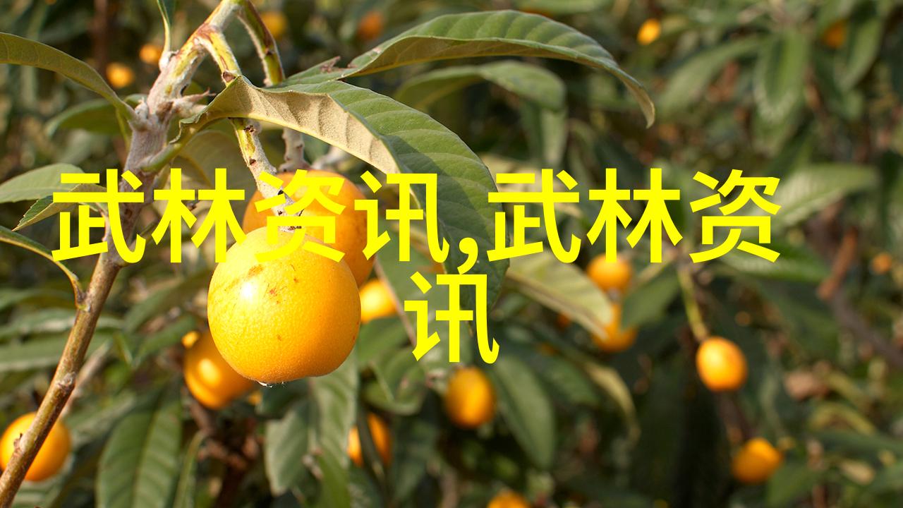 听从星辰指引解析那些与天象相关的仙盟名字