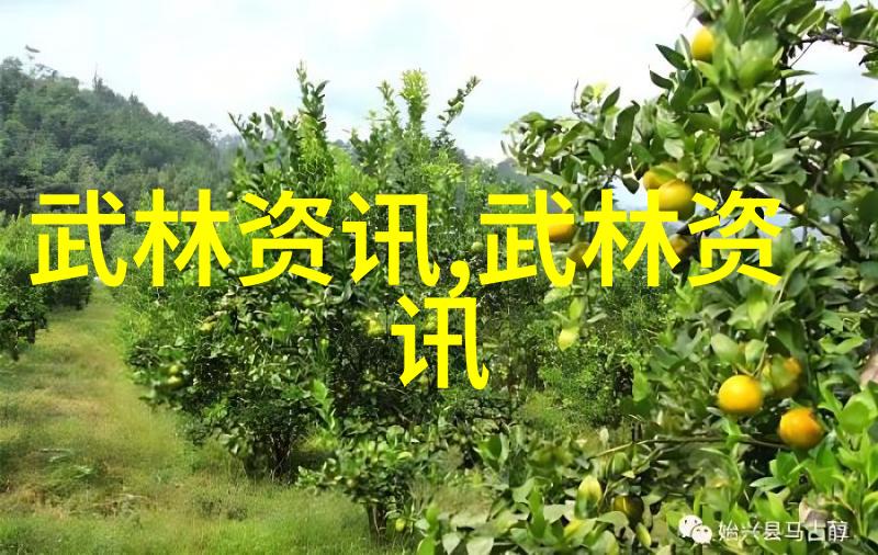 揭秘入门拳法一招制敌的神奇奥秘在哪里