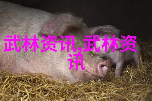 外骨骼铃鸣哑铃飞鸟技术大师的纠正之旅
