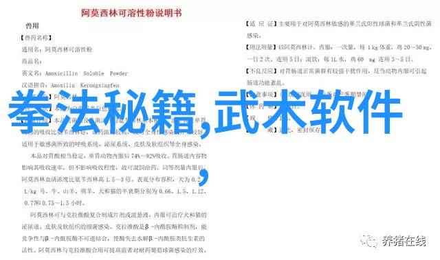 横练功夫排名揭秘武林内功大赛的巅峰之战