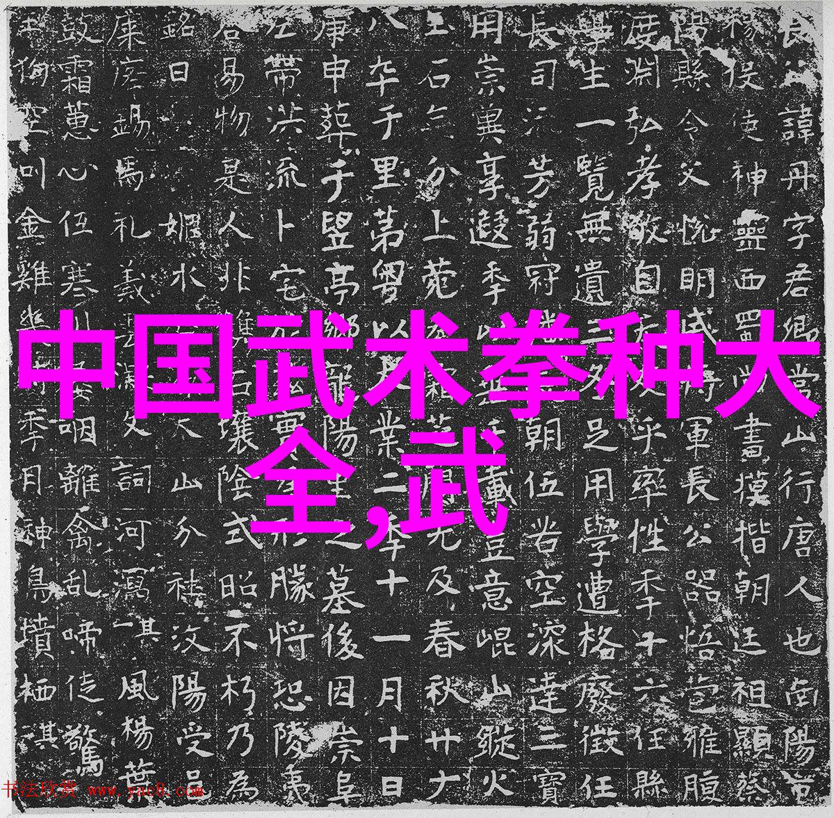 太极拳24式一步一步的教 - 掌握太极之精髓深入浅出的24式练习指南