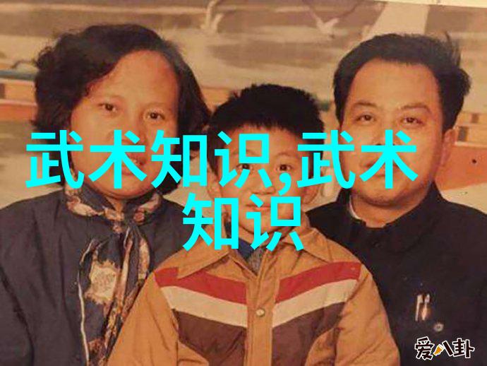 武功秘籍大全潘鸿勇的太极拳架练习技巧大公开