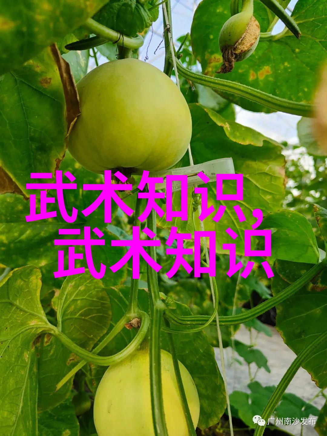阴阳五行之谜剖析中国古代兵器制造技艺