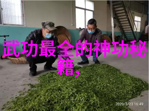 武林秘籍集成拳法技巧详解内含精美图像