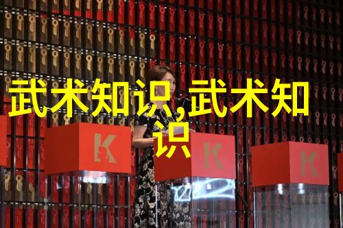 武林秘籍大全中的神秘之谜究竟隐藏着哪些超乎想象的武功与修炼法则