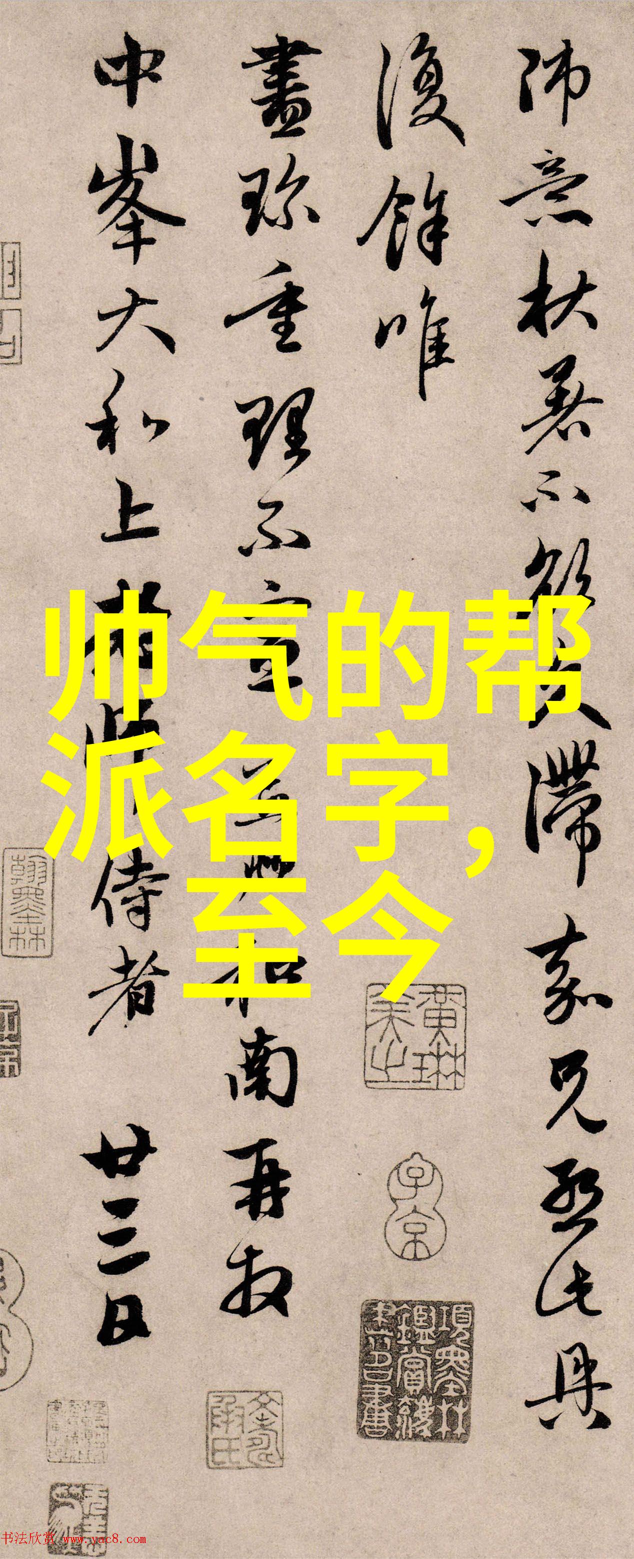 功夫大全揭秘招式拳法的精髓与艺术
