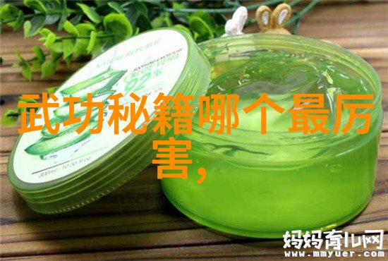 少林最厉害的拳法-探秘武林揭秘少林寺内最为神秘与强大的打法