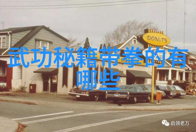 全国武术门派的辉煌历史与众多风格的探索