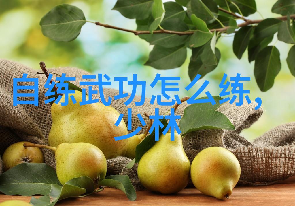揭秘太极拳24式的神秘面纱一份自学者的诱惑与挑战