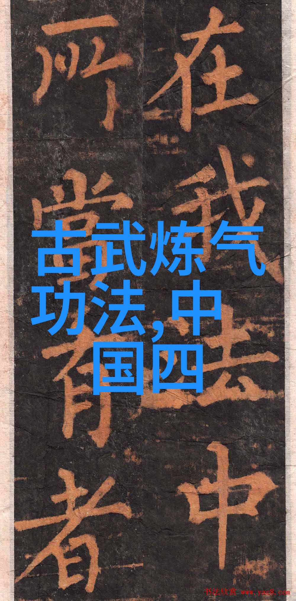 武林门派传承功力拳心系江湖 fists speak louder than words