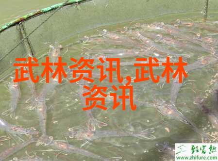 清新帮派风华绝代的青春梦想