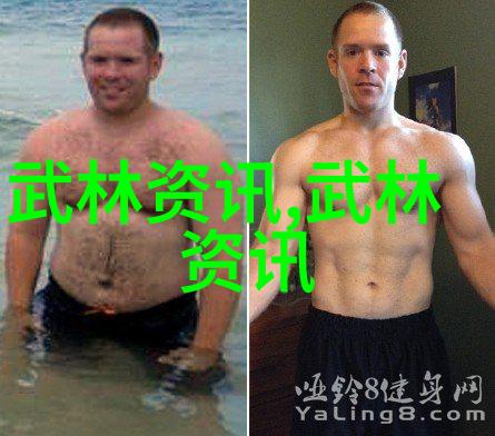 2015年中国排球的辉煌岁月女排重夺世界之巅激情燃烧荣耀永恒