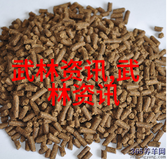 古风剑法秘籍剖析古典剑术的名字文化与哲学