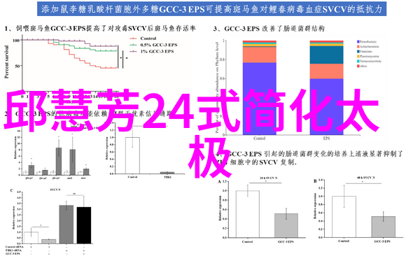江湖门派古老传承与新时代发展