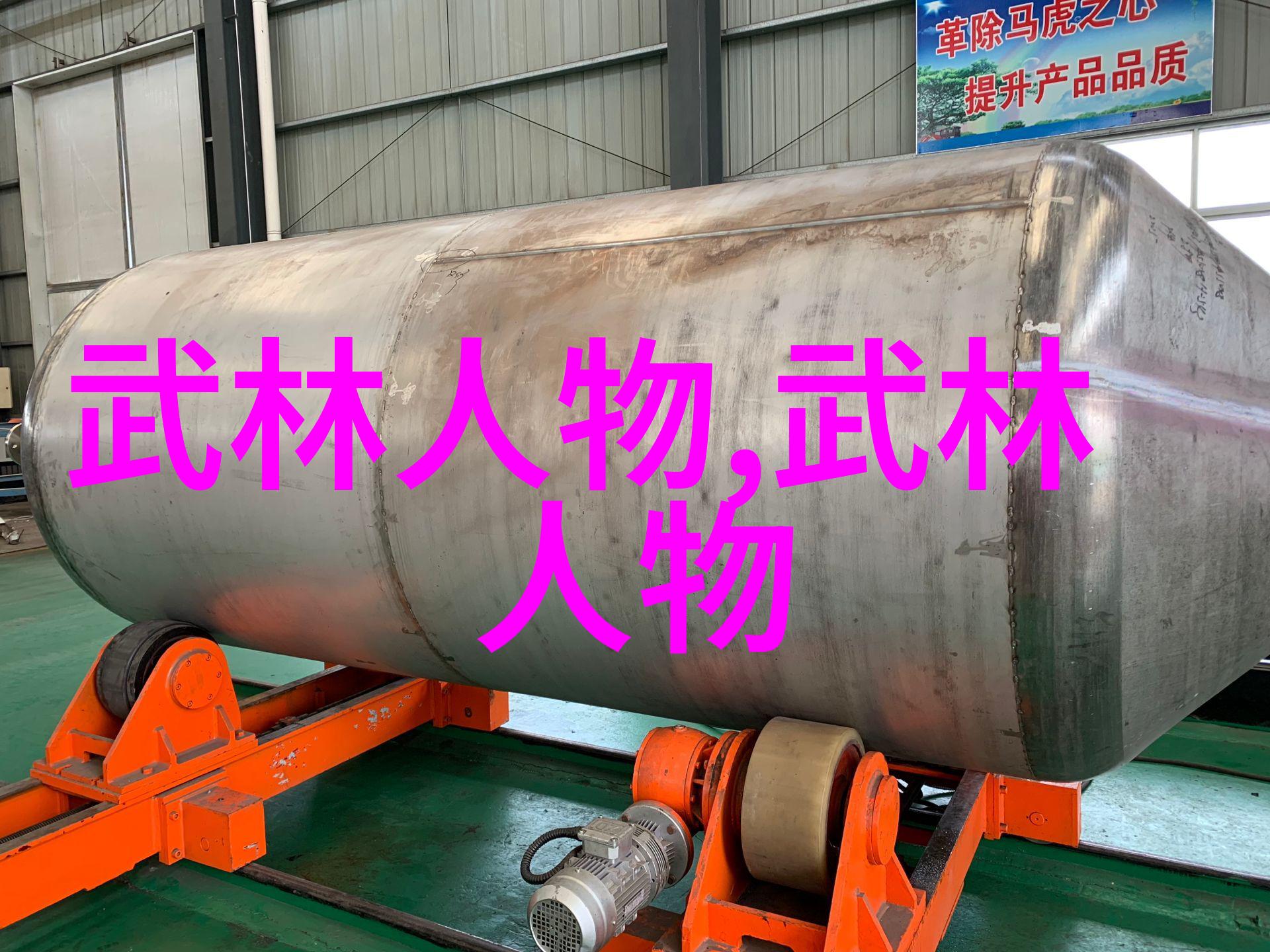 诗意武林佛汉拳古刹秘笈之藏
