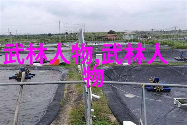 云贵江南遁世武林的秘密门派