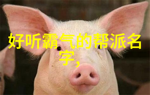 女子剑门秘籍古老武功的传承