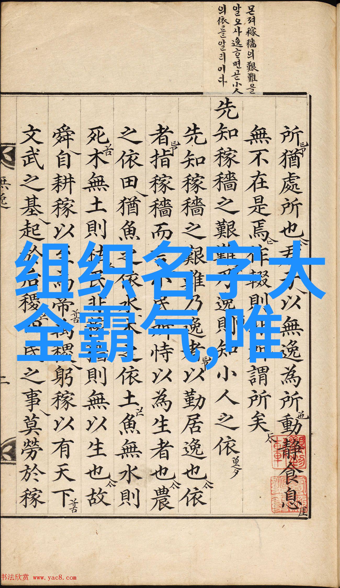 搞笑逗比帮派名单温水小手拳在社会舞台上的奇遇