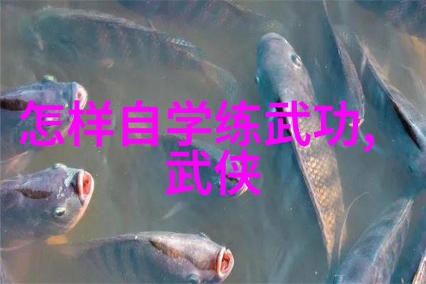 修炼之道探讨如何掌握并实践十大最强武功秘籍