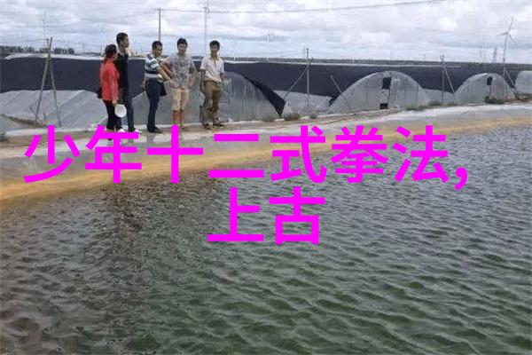古风帮派秘籍揭秘那些隐藏在云端的神秘盟约