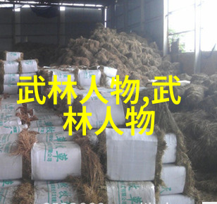 女生帮派花香与铁拳