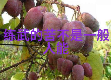 拳法十六招式图解-精通武学掌握每一招的秘诀与技巧
