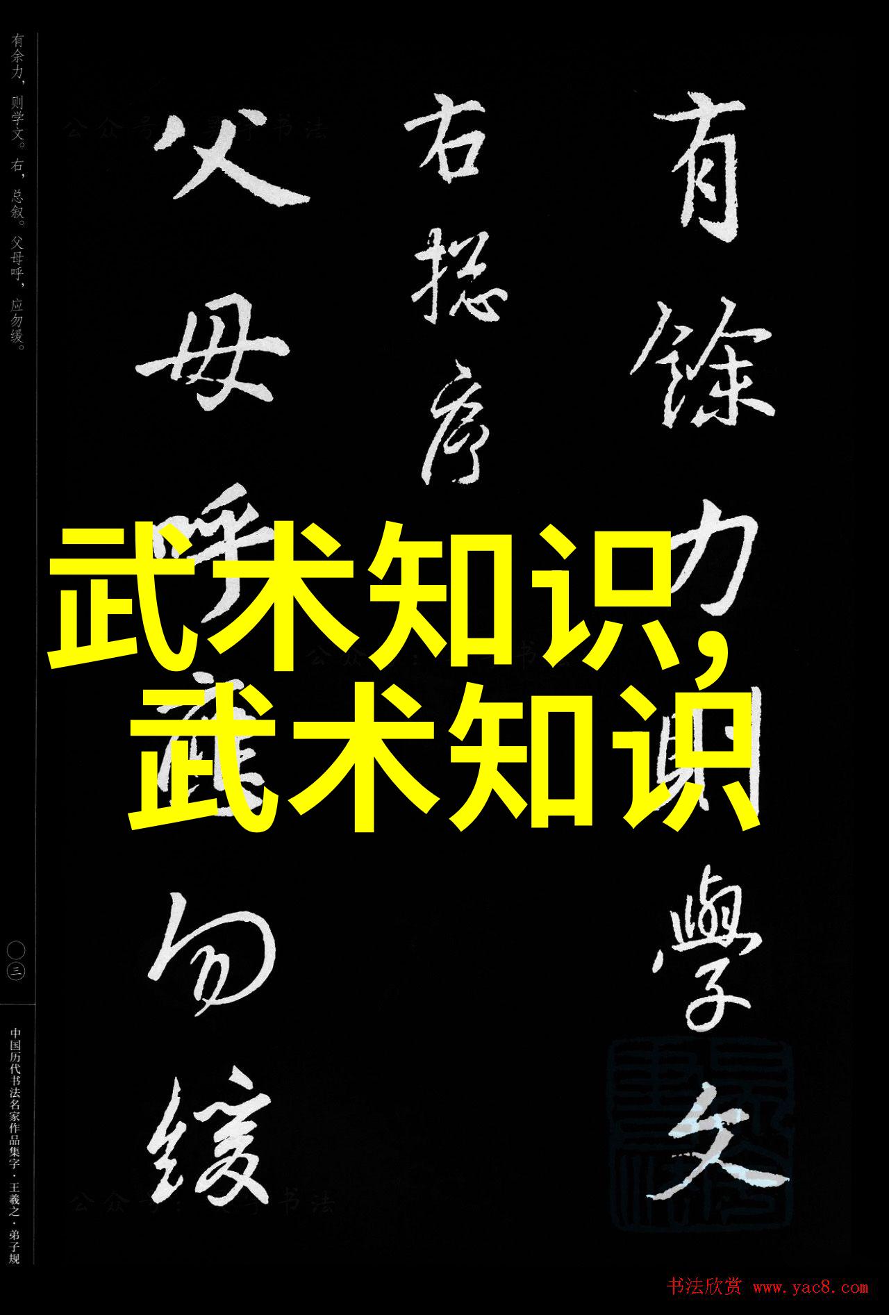 中国橄榄球协会的国家队就像一位热情好客的主人举办了一系列欢庆新年的活动让每一个参与的人都能感受到他们