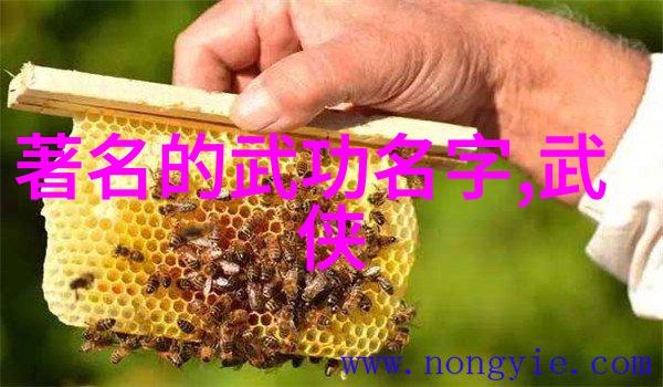 男士写真中的上肢力量训练有哪些你知道吗