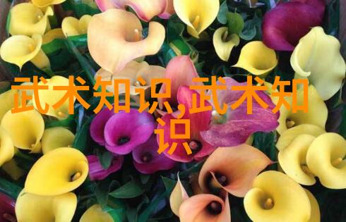 中国拳法中哪些是以武侠文化为背景的