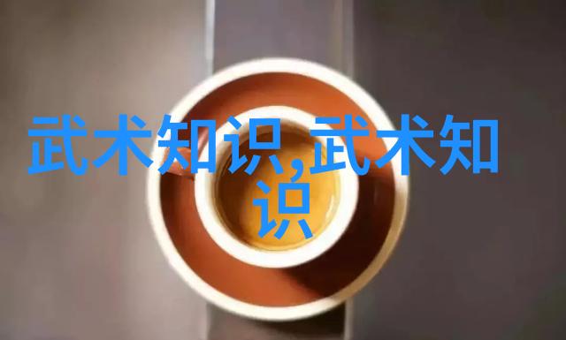 中国功夫中的碾脚犹如太极拳中的洪流强洪冯福志的运用之中蕴含着深厚的内功