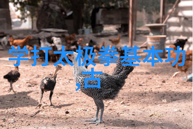 神秘剑法全集幻影剪刀星辰斩月光舞者天地交错