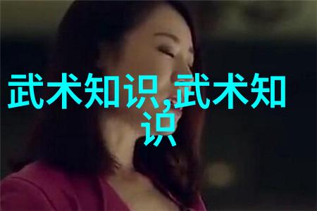 太极功夫秘籍-揭秘内丹法则让你一夜之间成为武林高手