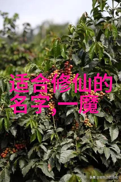 在实践中一旦掌握了技术这种技能还能持续多久保持有效性