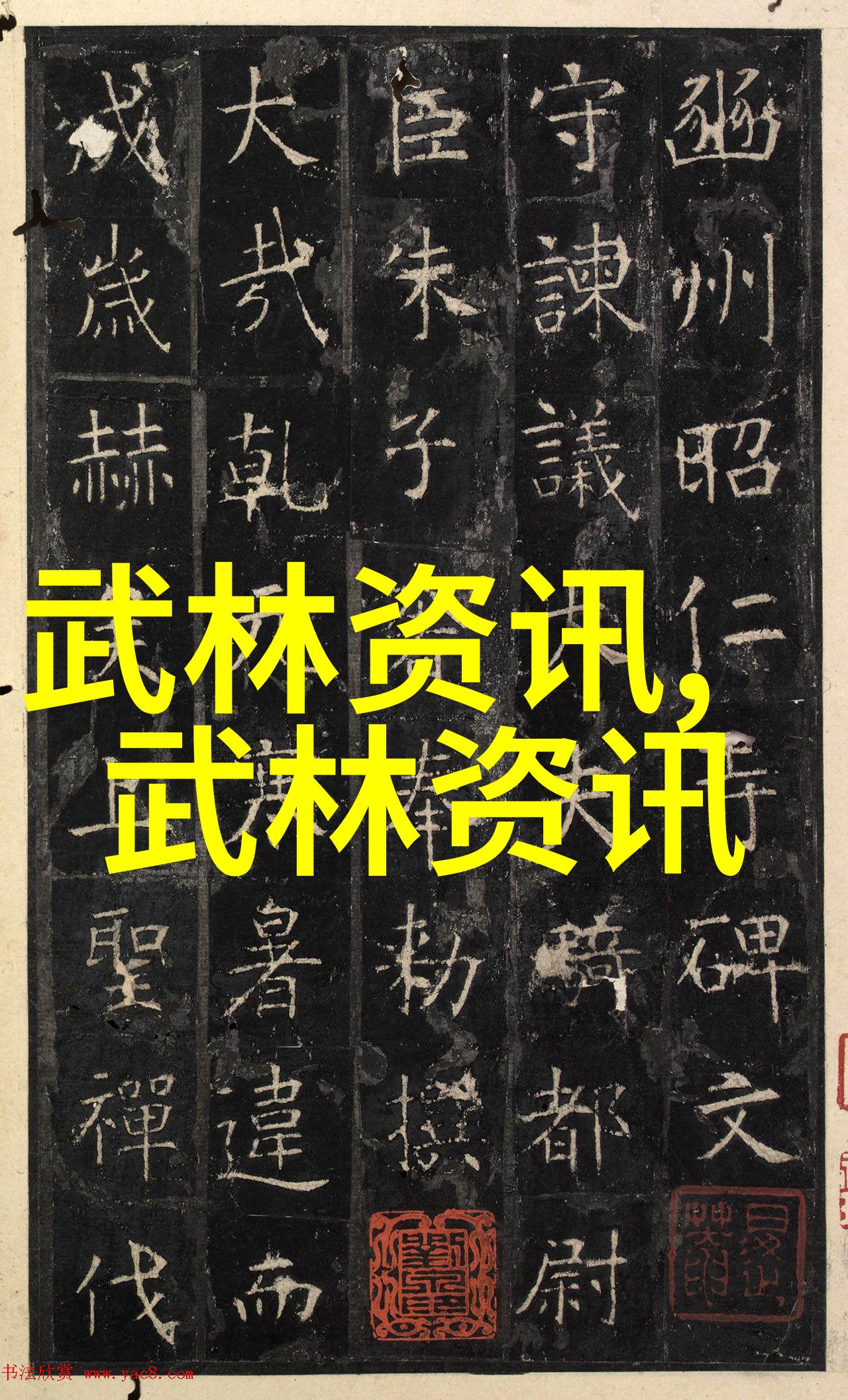 女子拳击巅峰对决刘易斯VS 斯皮瓦克爆裂一夜