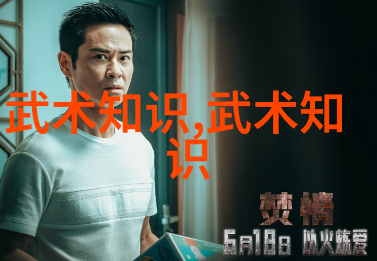 家中练武精进自我完善的武术教程指南