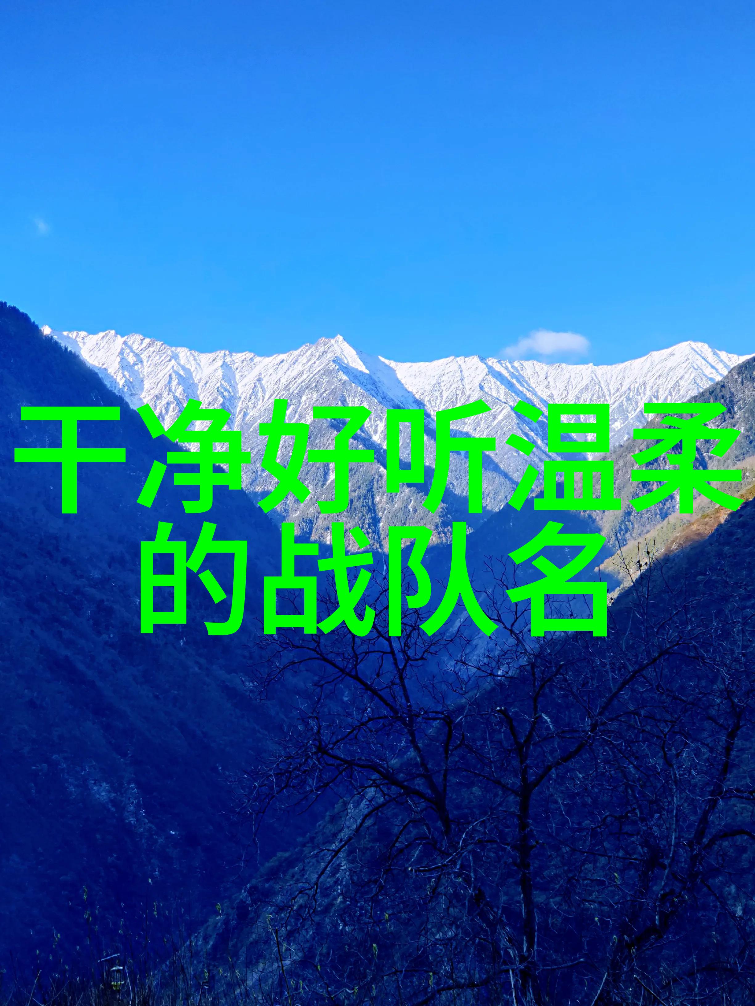 上海女排在世界杯排球赛中3-1击败北汽女排成功晋级次轮