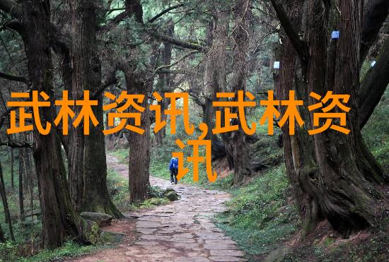 武林中的门派之旅探秘古老传统的兴衰变迁