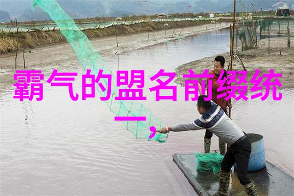 臣惶恐之心忠诚与责任的重量