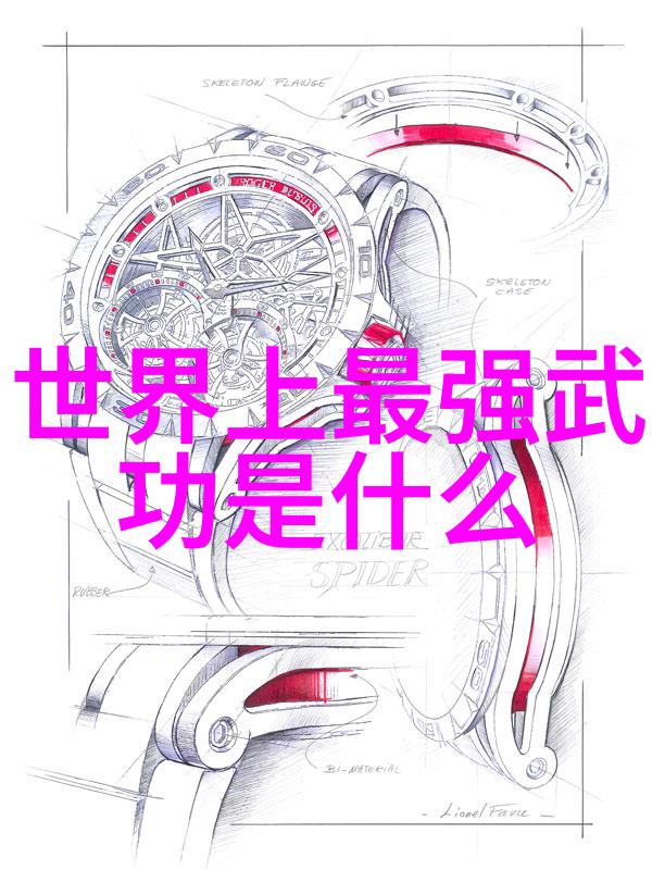 中国功夫对外国运动员吸引力的根源是什么会不会成为新兴体育项目呢