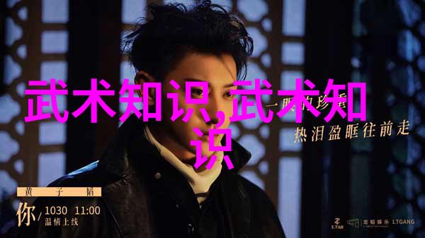 武术探秘-形意拳大比拼揭秘各流派的厉害之处