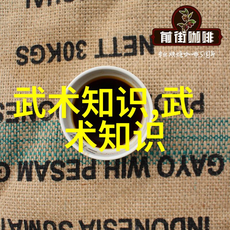 春风拂面拳影随之咏春拳法的奥秘何在