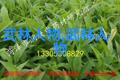 科斯塔与惠特克的新合同竞赛社会焦点下一幕