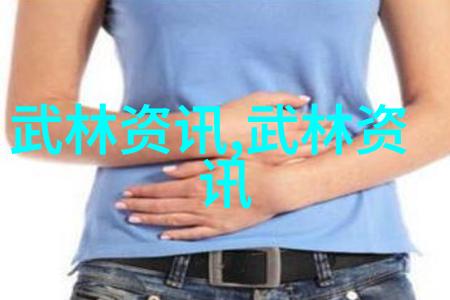 武术的精髓十二式内功之旅
