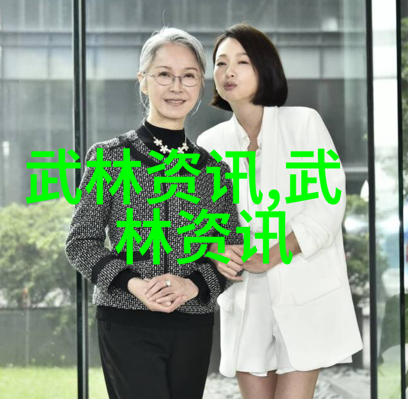 武术学习-精通二十四式简化太极拳图解掌握传统功夫的秘诀