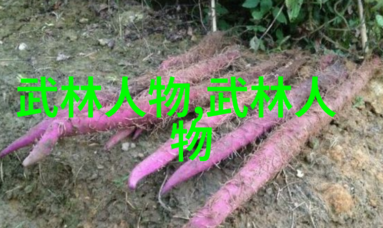 横练功夫排名咱们来看看谁的武艺更是非凡