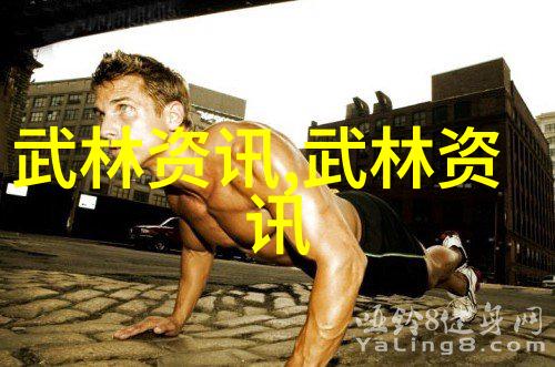 初学武术套路拳法揭秘古老武艺的基本技巧与训练方法