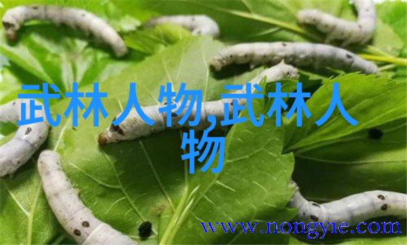 太极拳24式分解动作教学反复探索对称关系的美学之谜