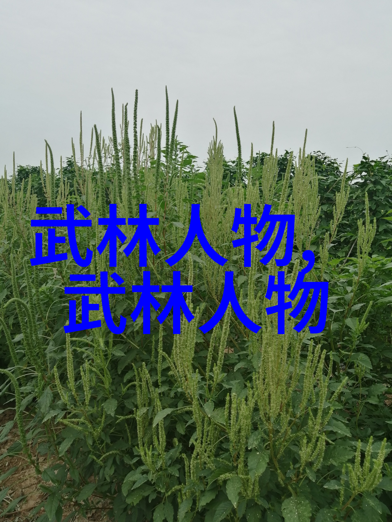 全球青奥骑行首站启动