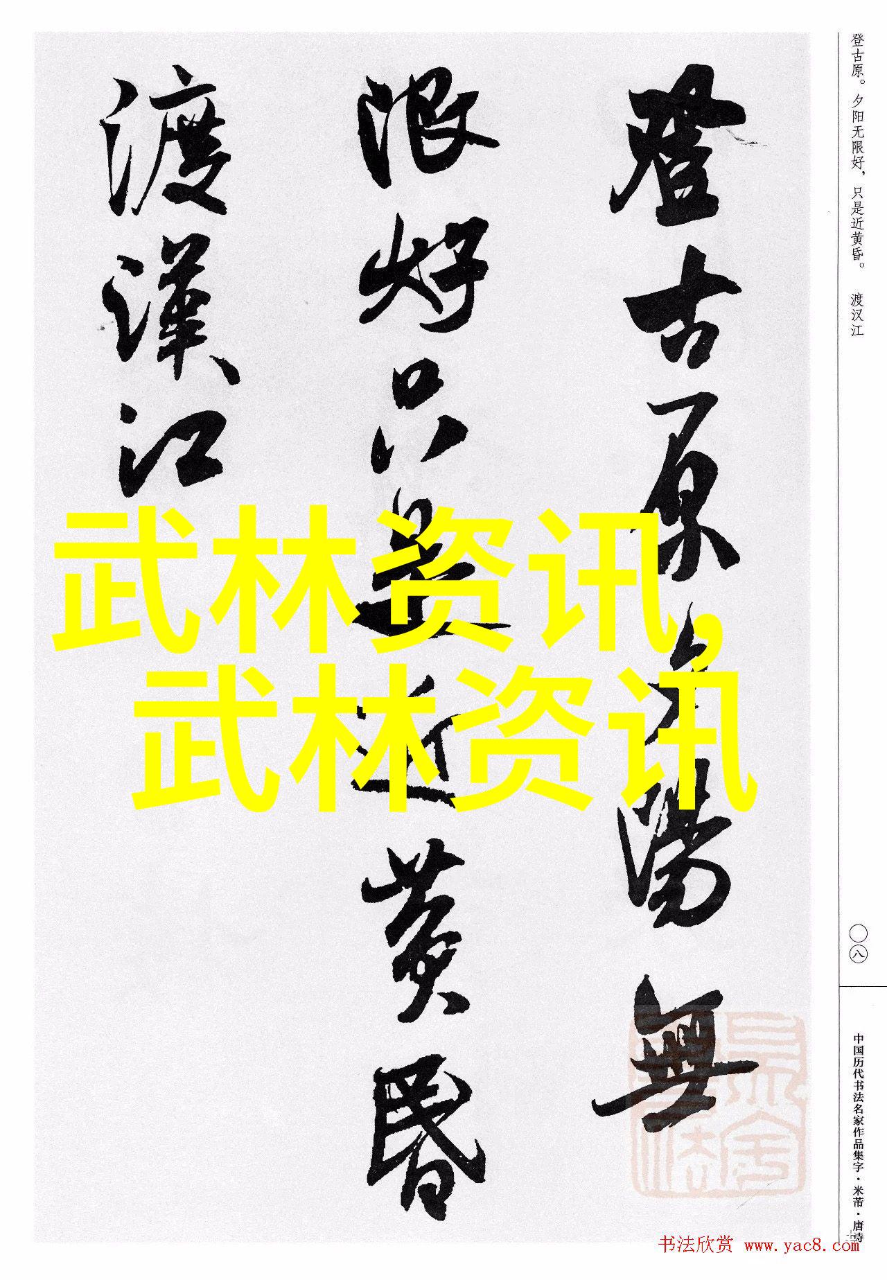 武林十大门派之巅江湖传说中的武学至尊
